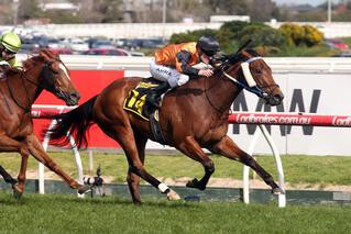 Legless Veuve (NZ) powers home to win at Caulfield. 